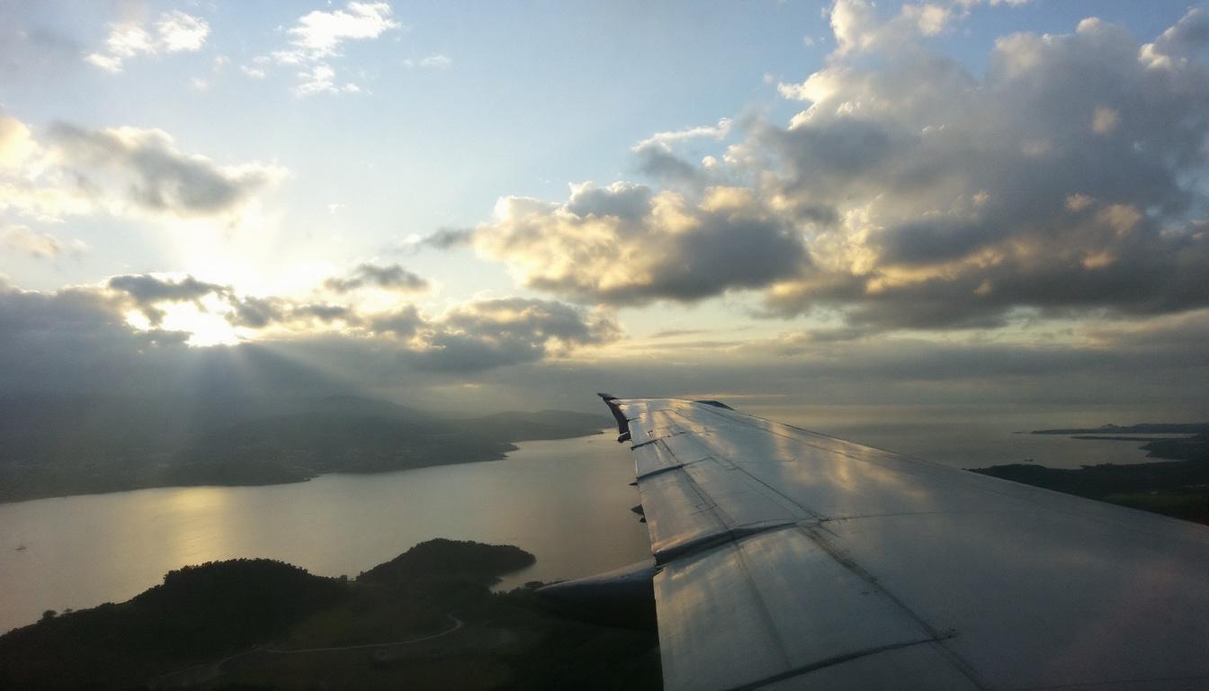 ontdek welke twee vruchten katten uit uw tuin houden en geniet van een diervriendelijke tuin zonder ongewenste bezoekjes.